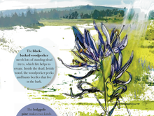 Issue Nineteen - Root and Star
