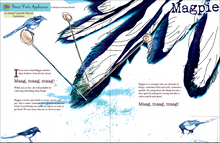 Issue Twelve - Root and Star