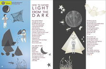 Issue Twelve - Root and Star