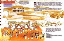 Issue Thirteen - Root and Star