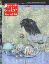 Issue Seventeen - Root and Star