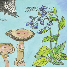 Issue Ten - Root and Star