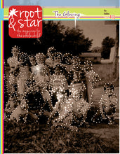 Issue Thirteen - Root and Star