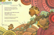 Issue Five - Root and Star
