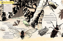 Issue Eight - Root and Star